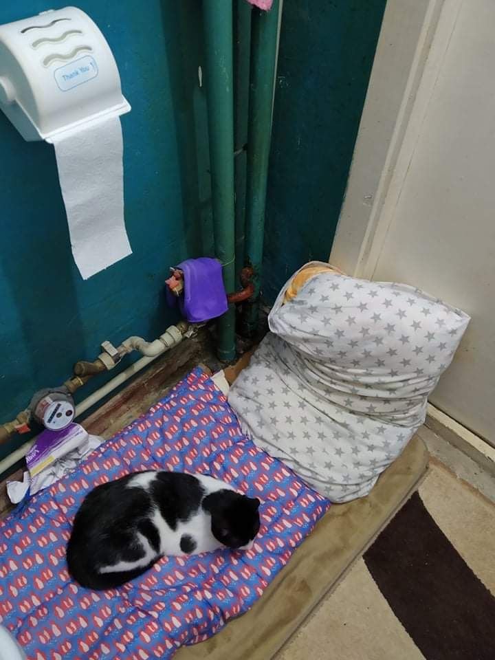 Ванна кімната у якій Юлія та її кішка ховалися декілька днів