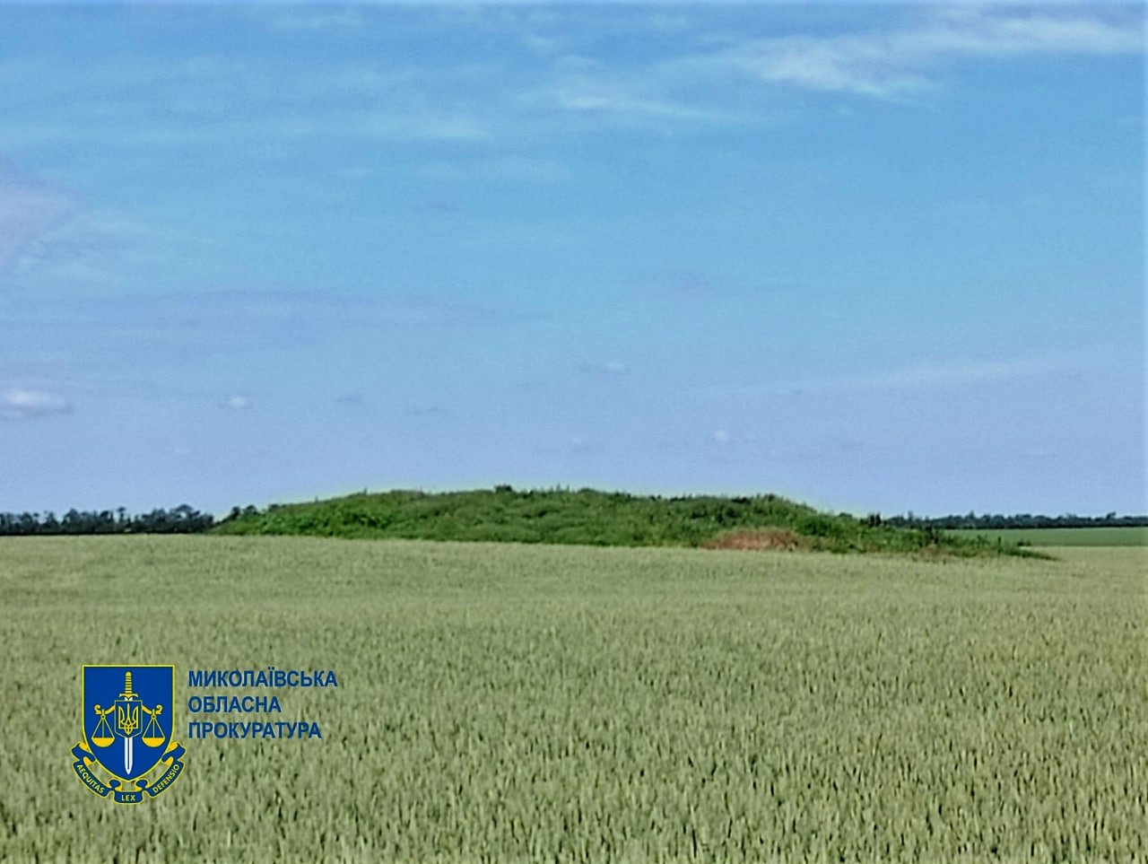 На Миколаївщині привласнили земельну ділянку, на якій знаходиться курган доби пізнього палеоліту, - ФОТО 