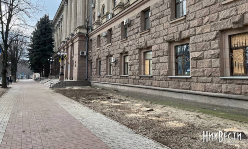 фото: Никвести
