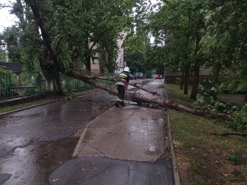 Негода на Миколаївщині: рятувальники ліквідовували наслідки грози, - ФОТО 