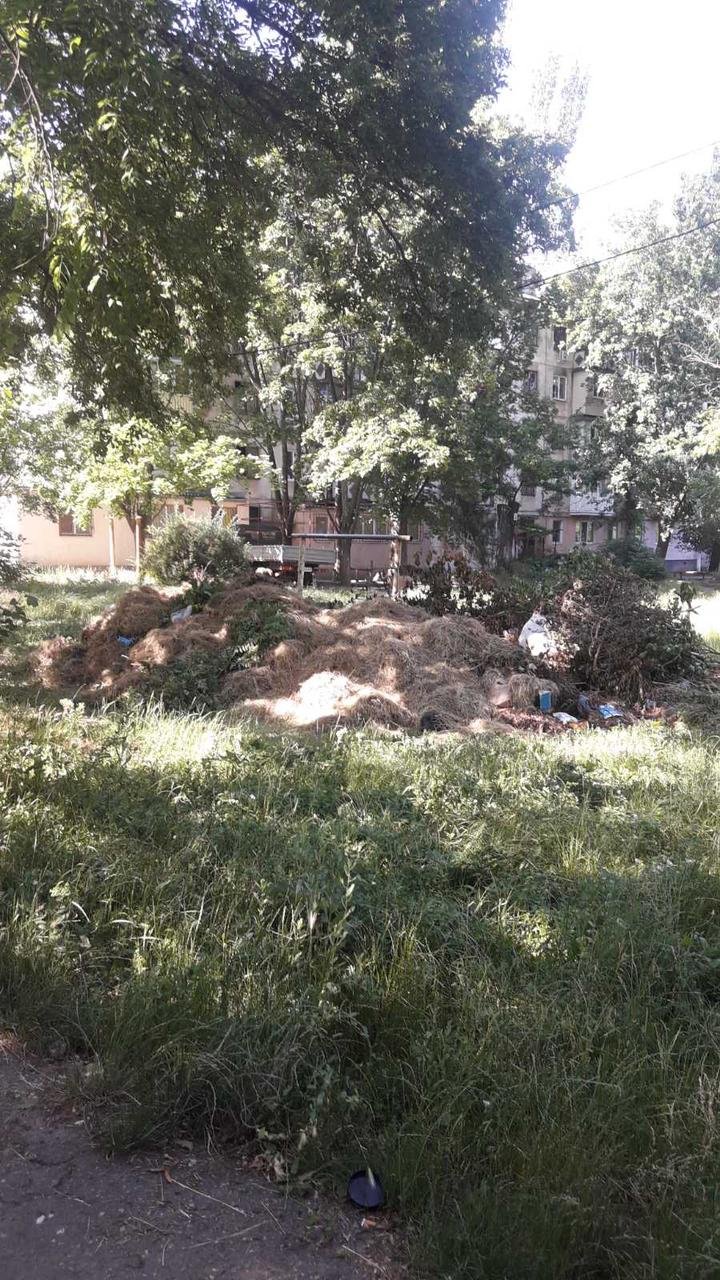 У Миколаєві в ході перевірки виявили несанкціоноване сміттєзвалище,- ФОТО
