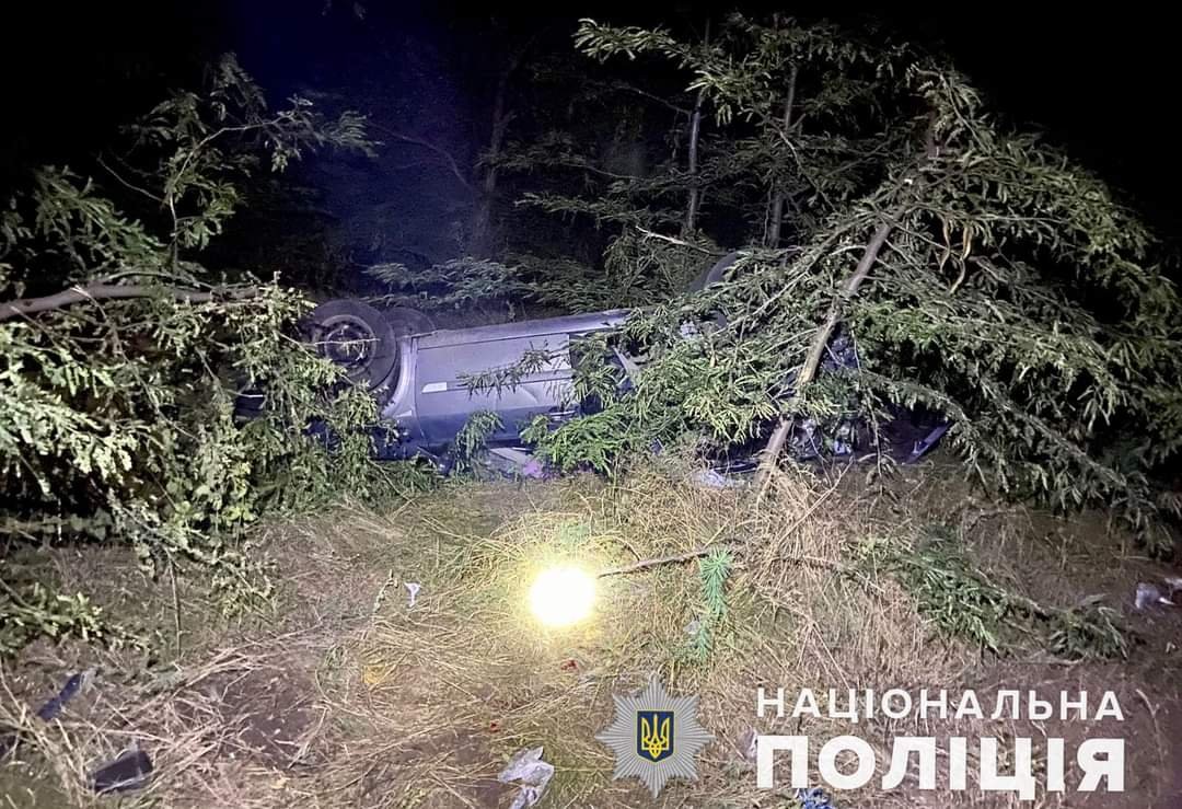 На Миколаївщині п'яний водій врізався в дерево, через що авто перевернулось: відомо про п'ятьох постраждалих, - ФОТО 