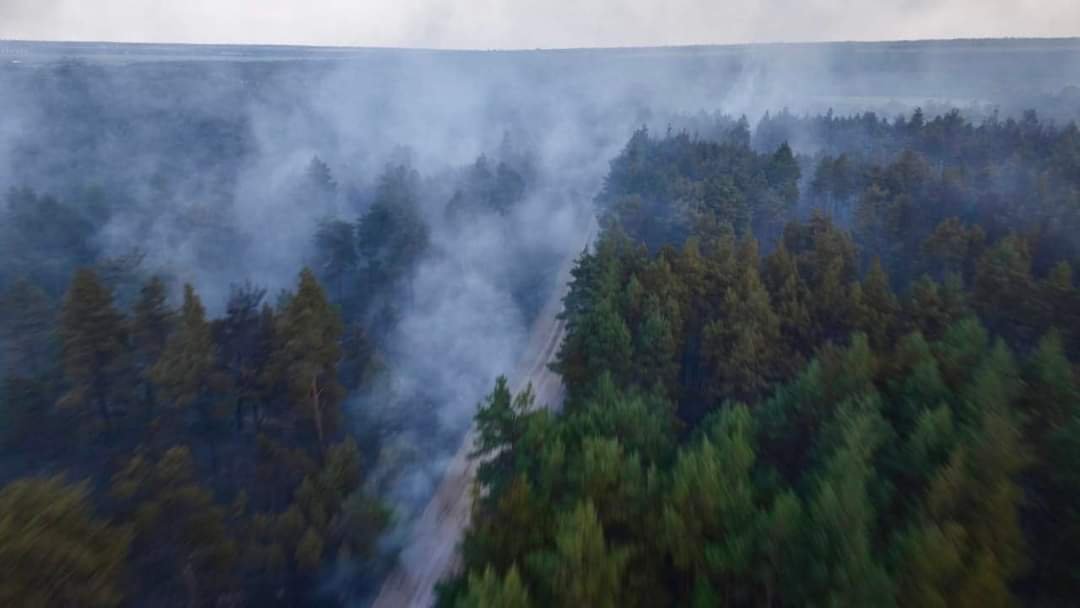 Палає ліс: на Миколаївщині рятувальники ліквідовують масштабну пожежу, - ФОТО