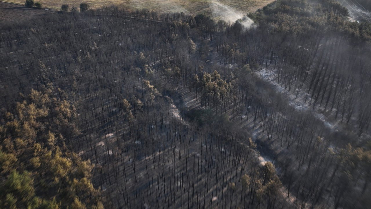 На Миколаївщині масштабна пожежа у заповідній зоні спричинила наслідки для екології на понад 128 мільйонів гривень, - ФОТО