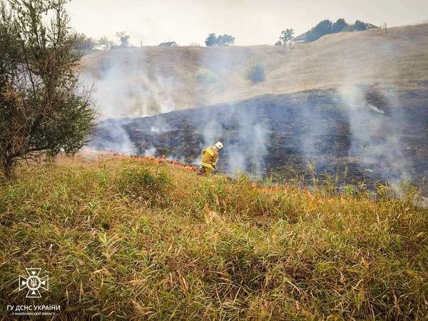 На Миколаївщині ліквідували 6 пожеж: горіли трава, чагарники та горище в будинку 