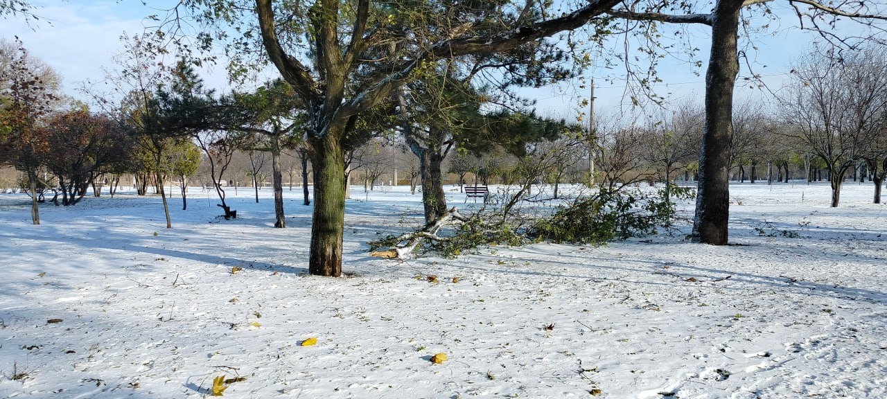 У Миколаєві комунальники ліквідовують наслідки негоди, - ФОТО