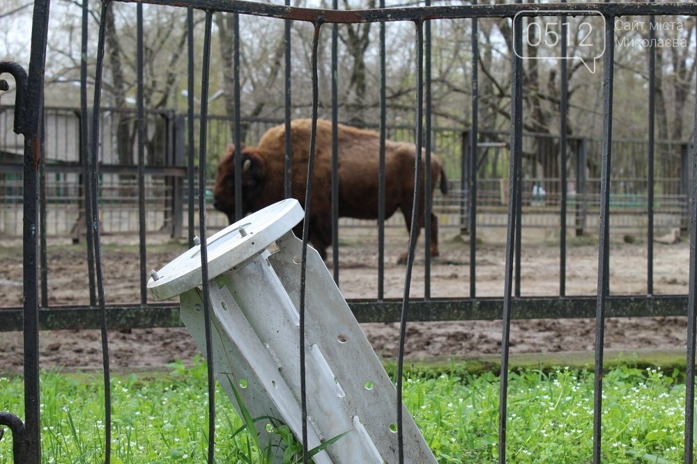 «Коли ракети прилітали, я тут ночувала»: історії робітників Миколаївського зоопарку,- ФОТО