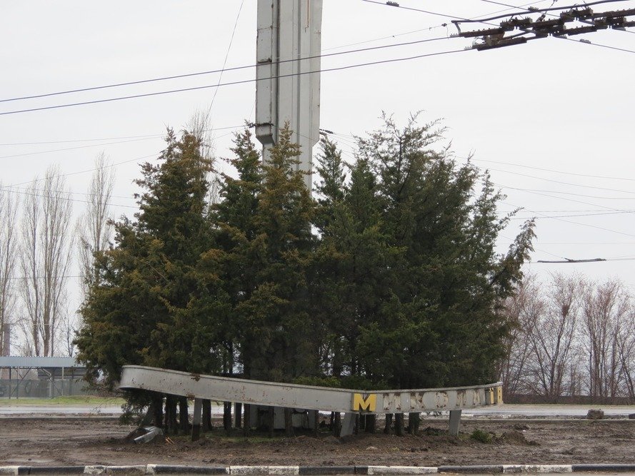 Фото КП "Миколаївські парки"