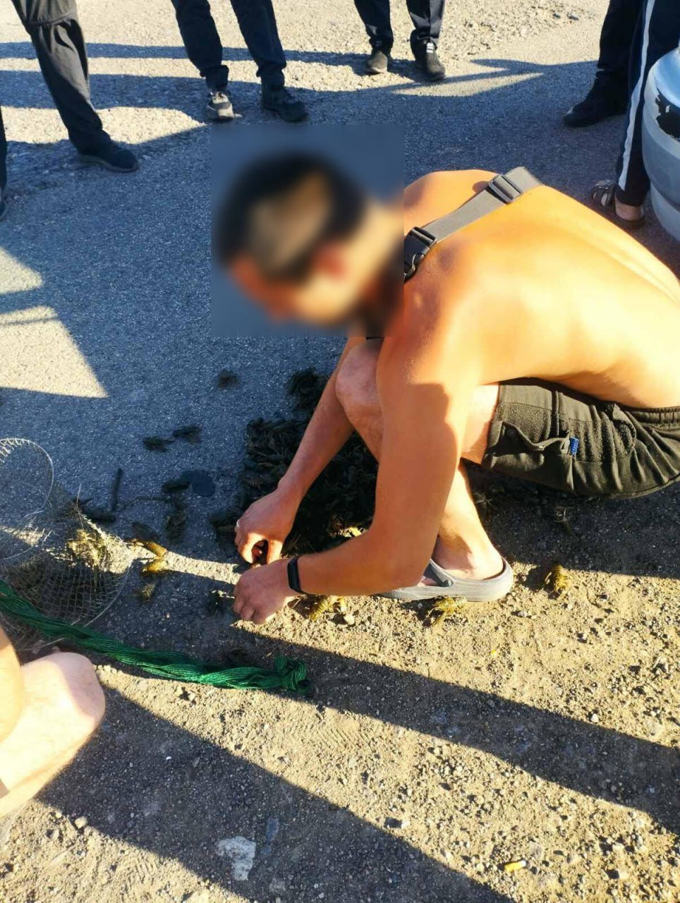 Фото Госэкоинспекция