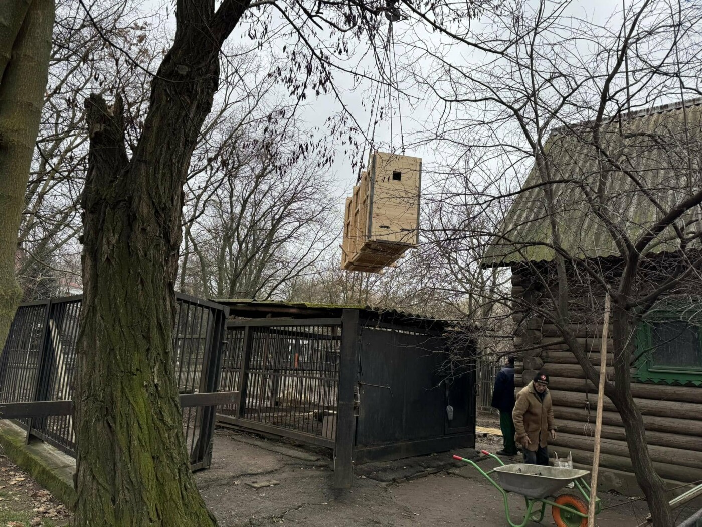 Фото Николаевский зоопарк