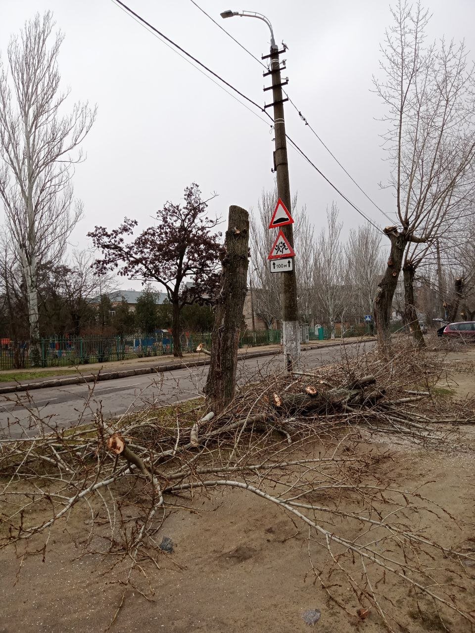 Фото КП "Николаевские парки"