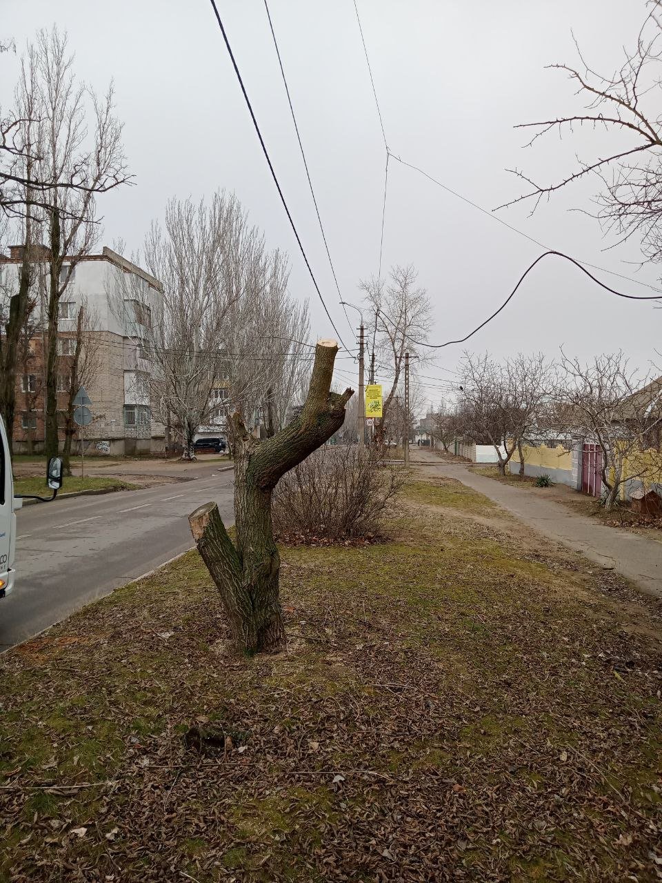 Фото КП "Николаевские парки"