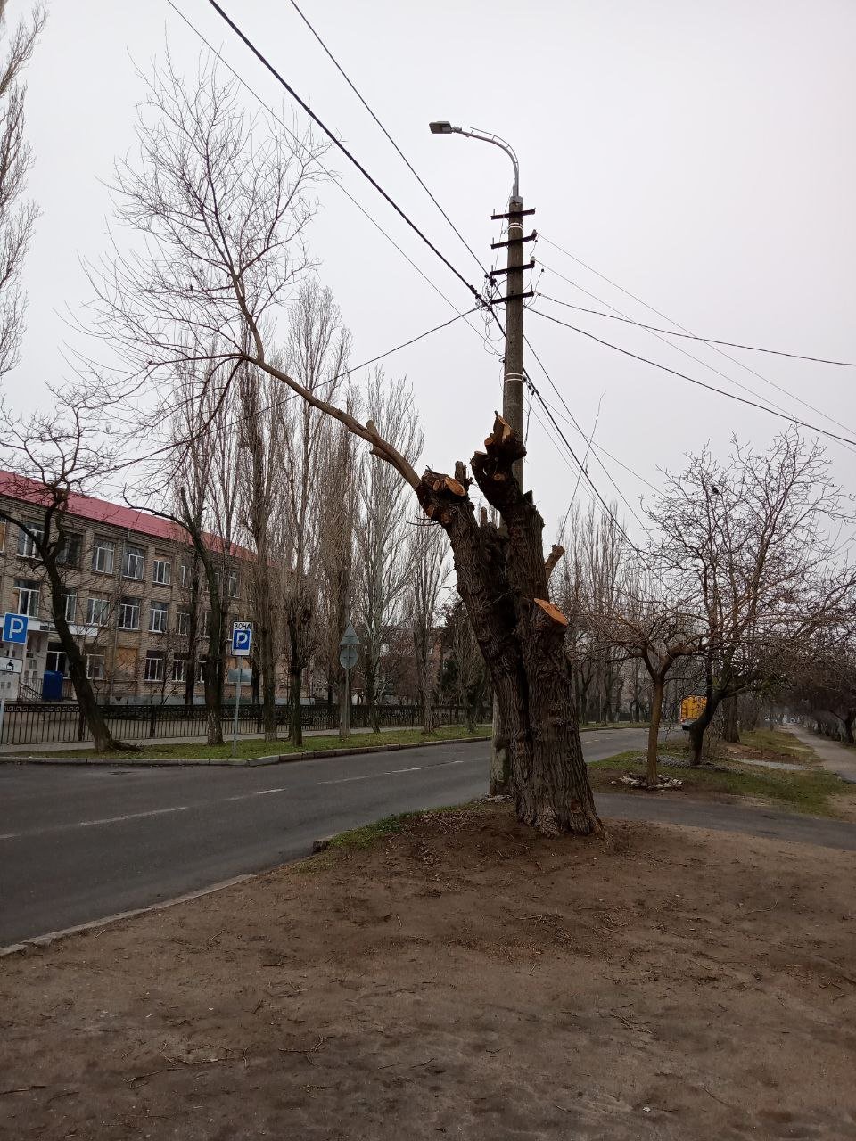 Фото КП "Николаевские парки"