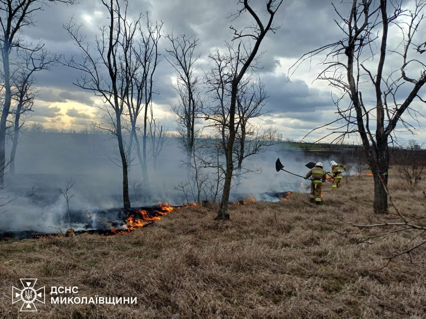 Пожары в Николаевской области