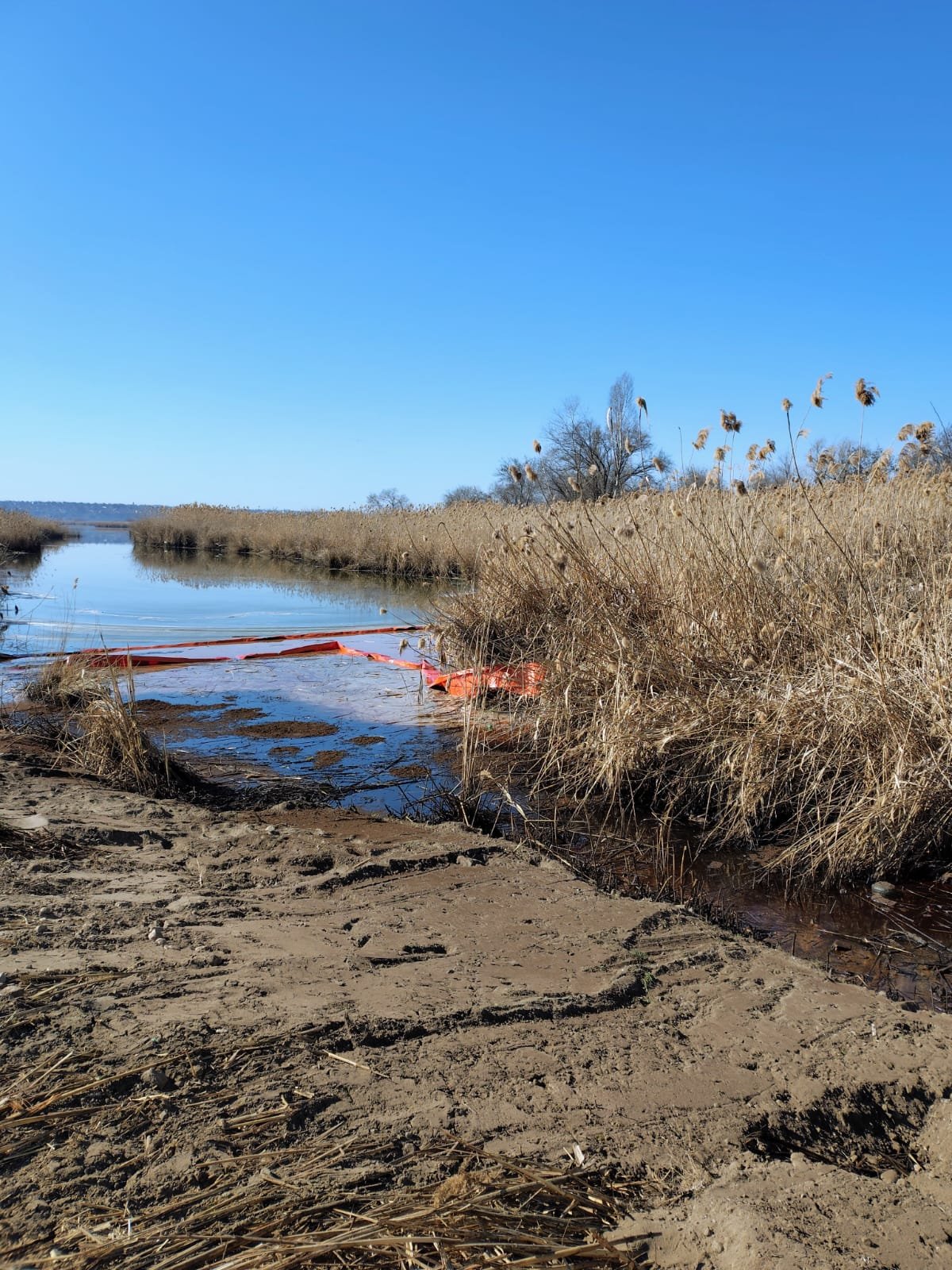 Фото Николаевский городской совет