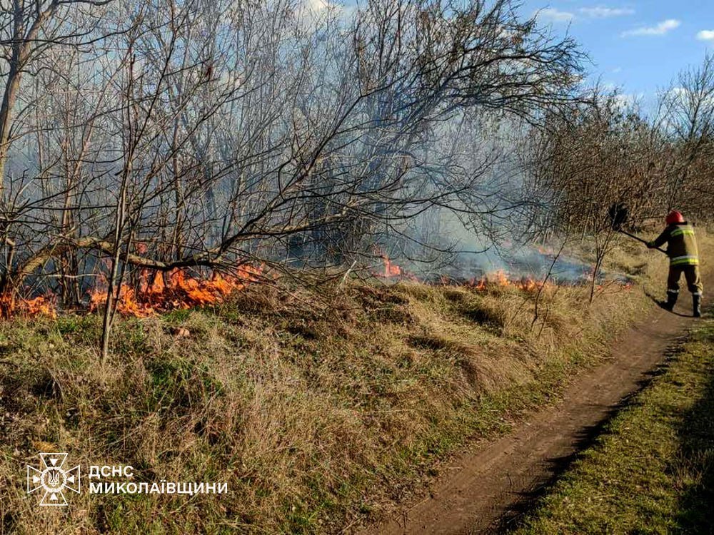 Фото ГСЧС Николаев