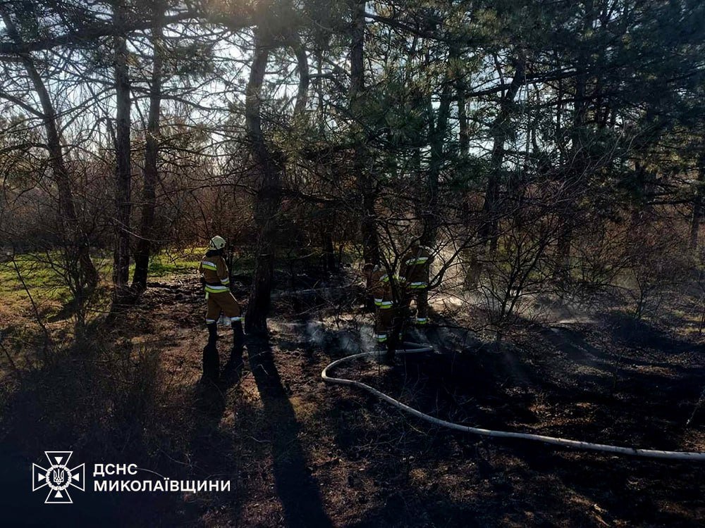 Фото ГСЧС Николаев