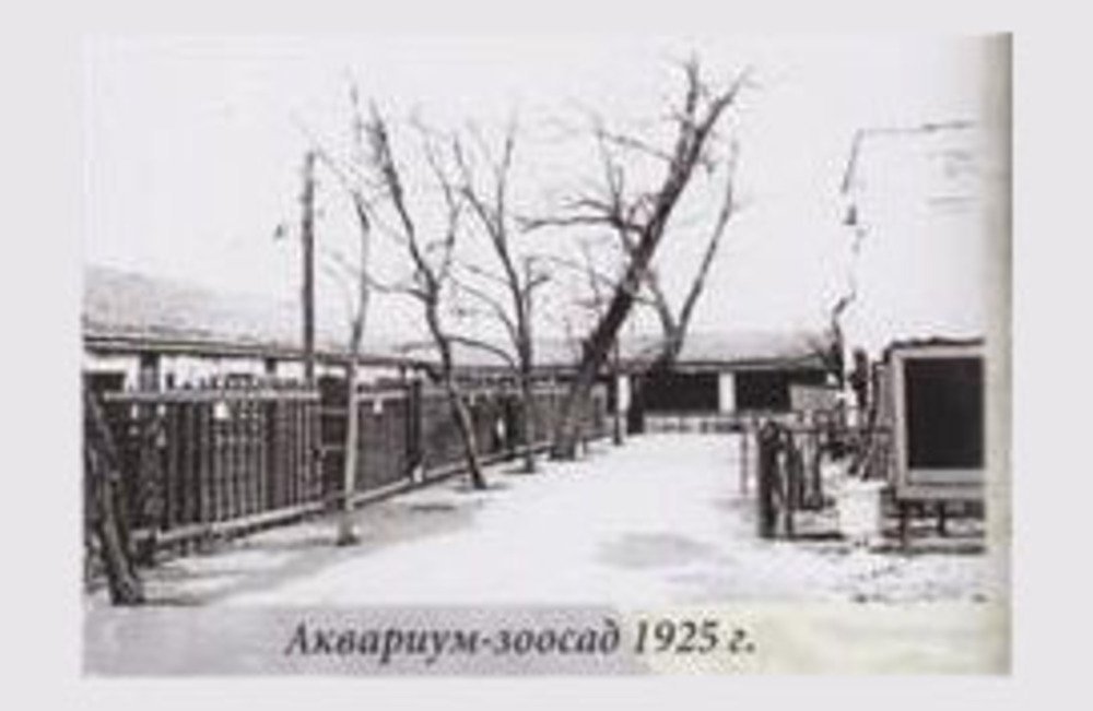 Зоопарк на месте постройки Николаевской ОВА