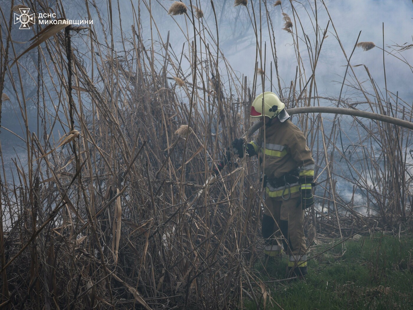 Пожары в Николаевской области.