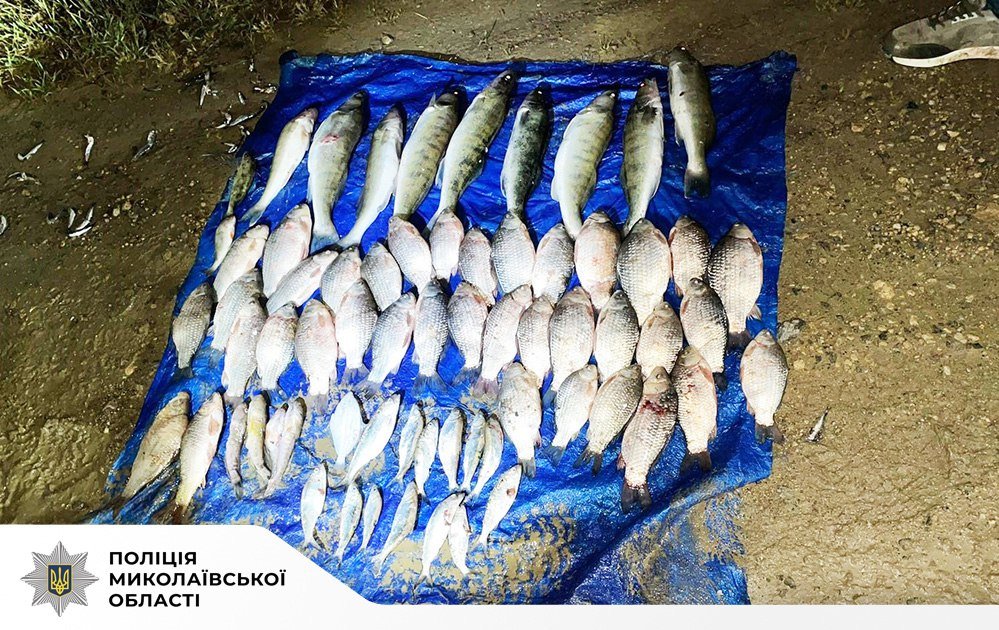 Фото Нацполиция