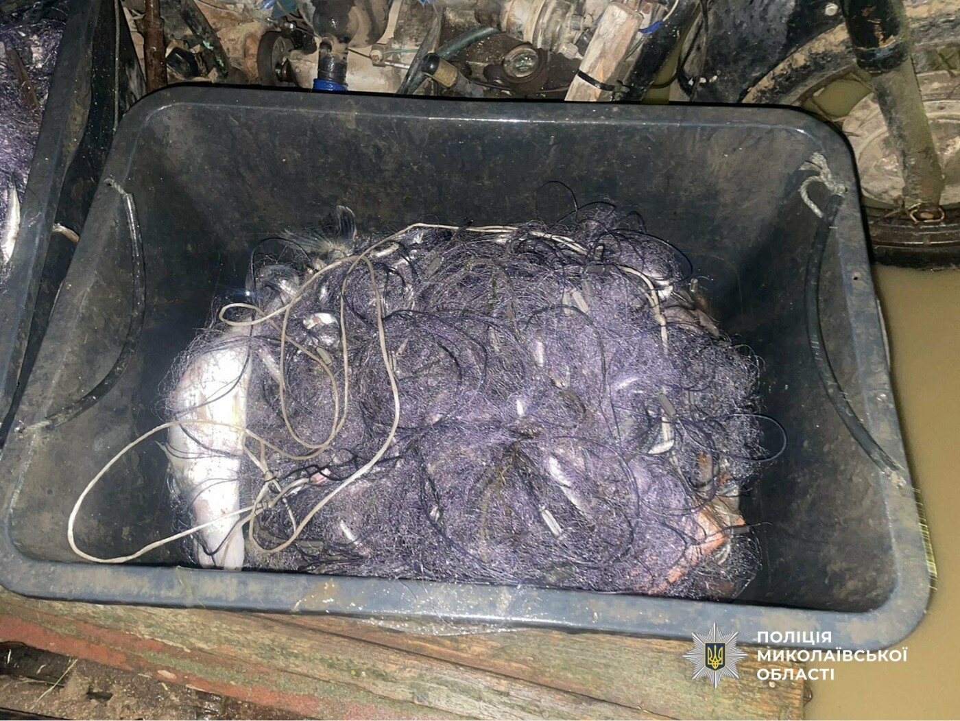 Фото Нацполиция