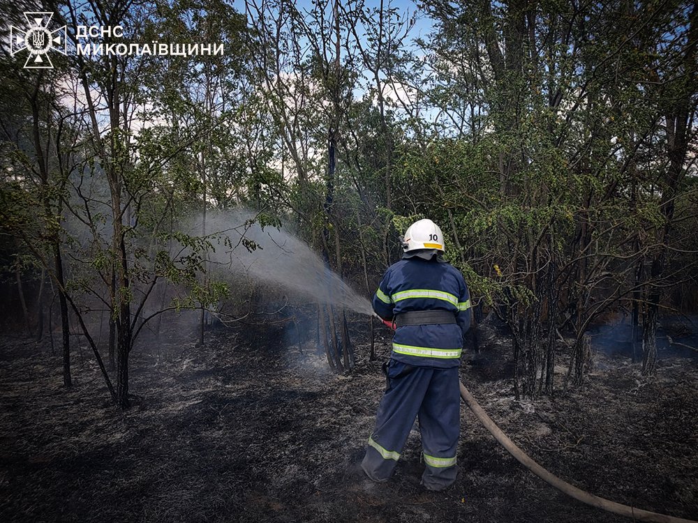 Фото - ГСЧС Николаев.