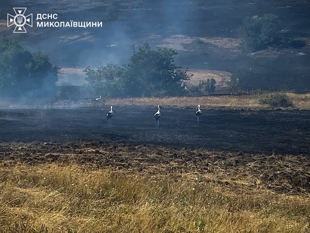 Пожары в Николаевской области