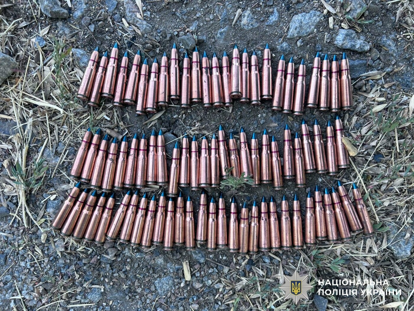 Полиция разоблачила канал сбыта оружия в Николаевском районе.