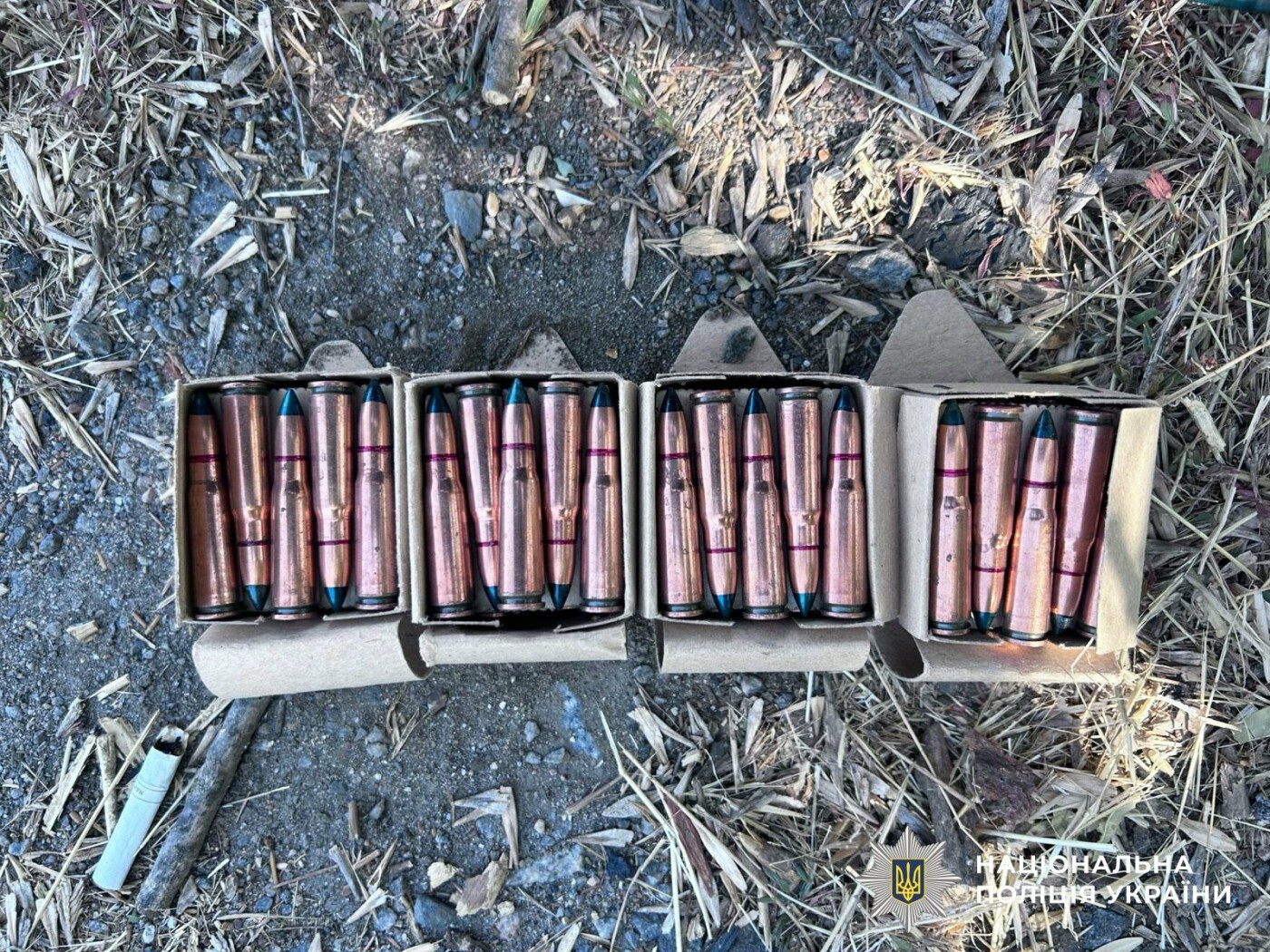 Полиция разоблачила канал сбыта оружия в Николаевском районе.