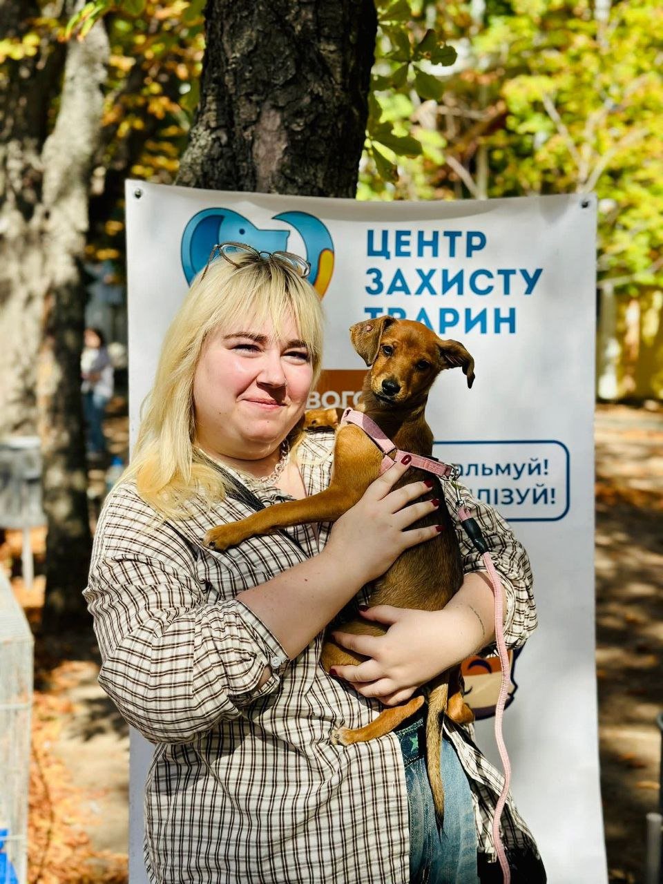 Фото - Центр защиты животных