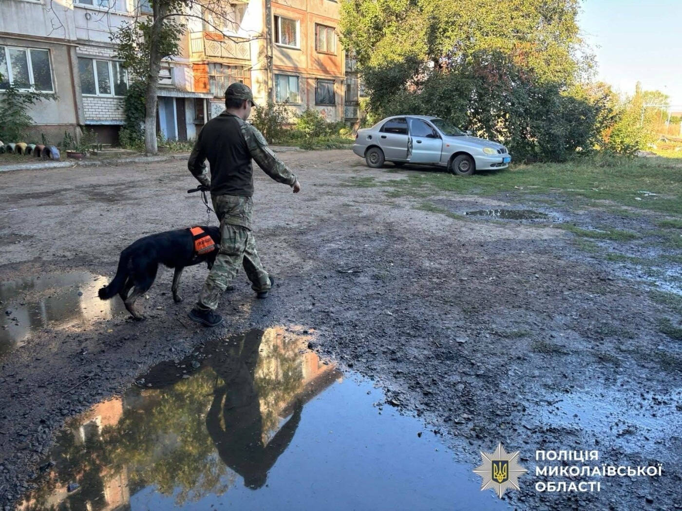 В Николаевской области мужчина поджег авто соседа