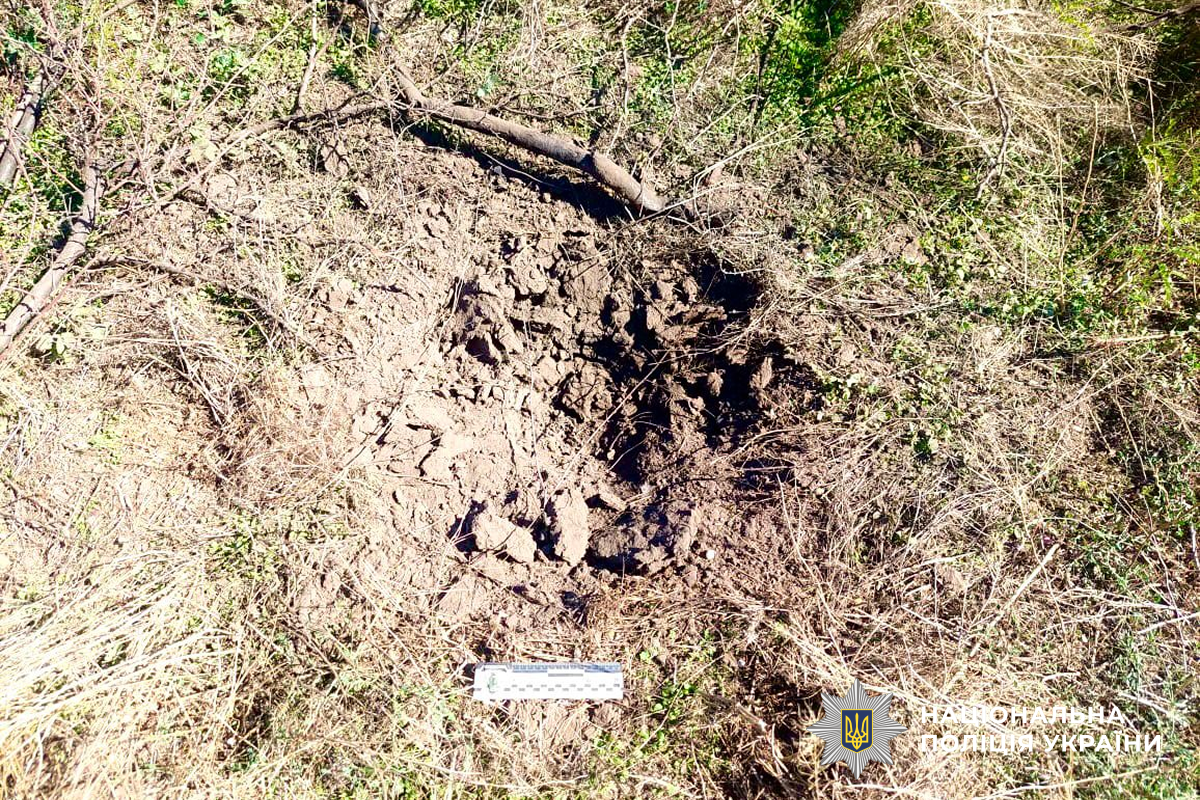 В Николаевской области взрыв в поле травмировал животное