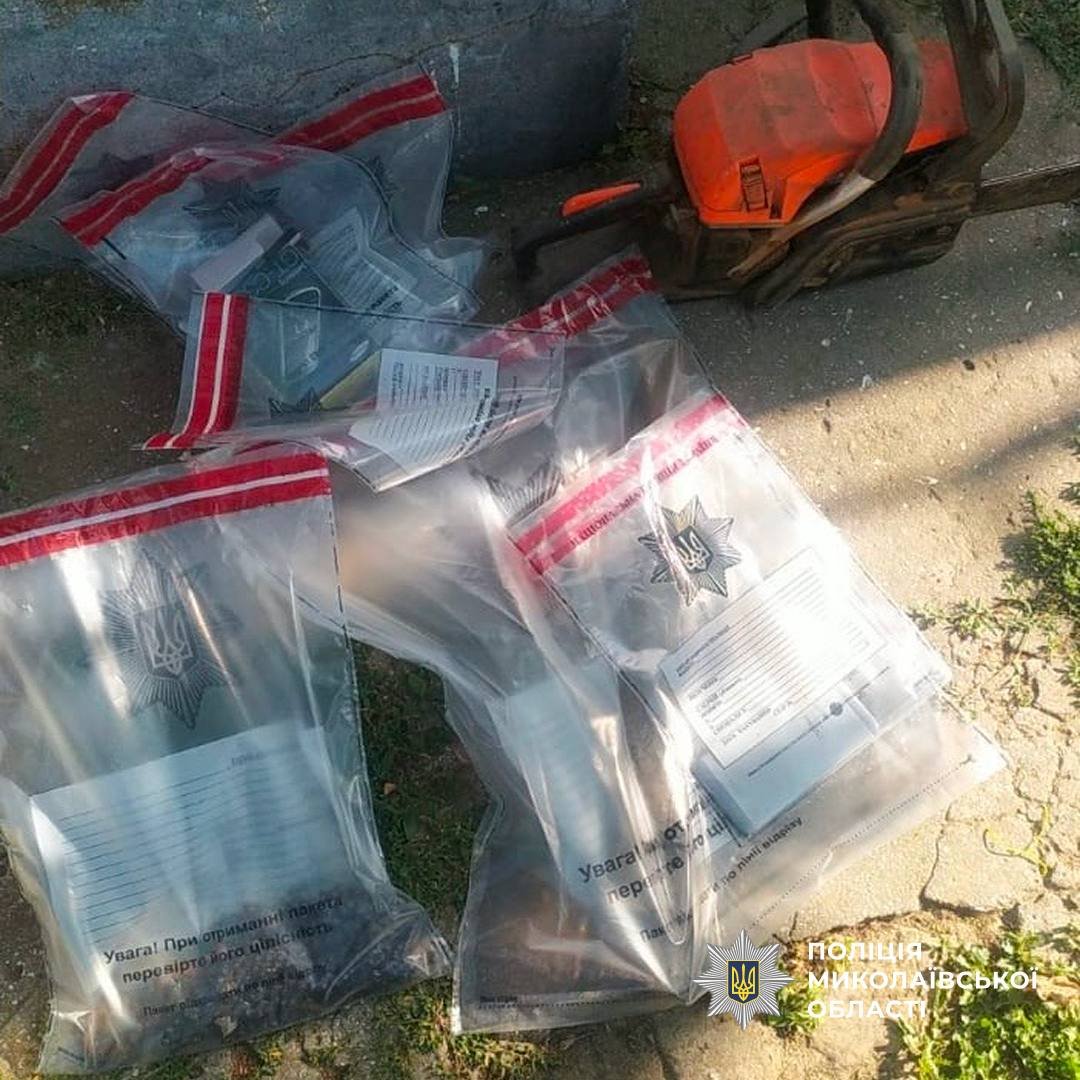 на Миколаївщині затримали групу лісових браконьєрів