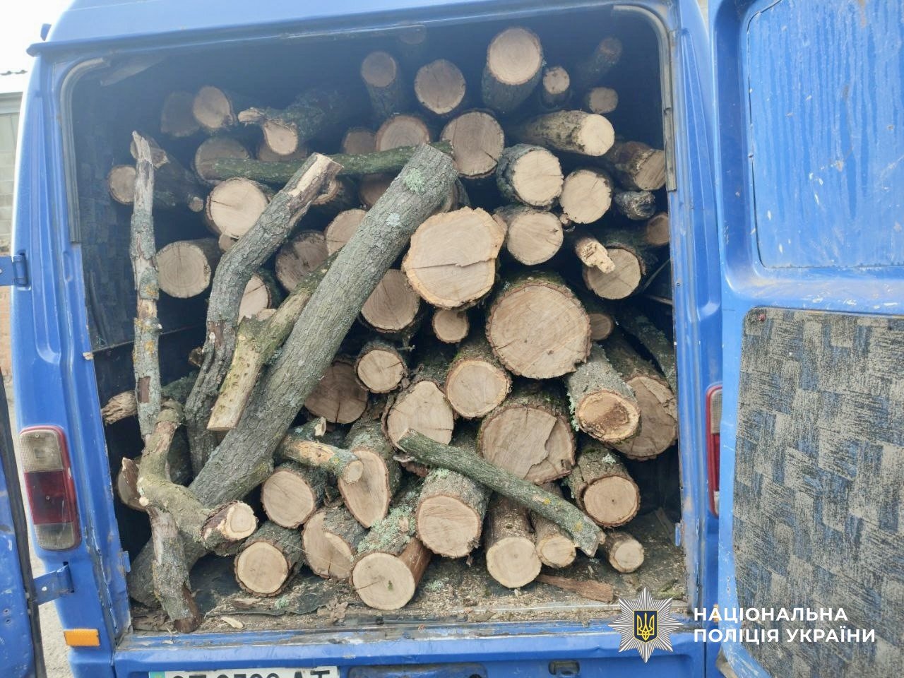 Незаконна вирубка дерев на Миколаївщині