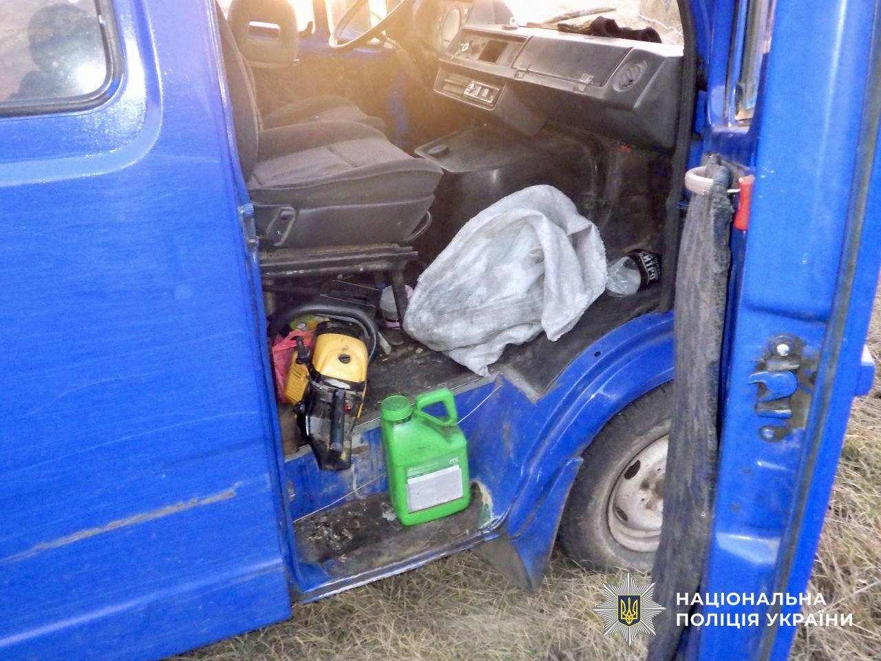 Незаконна вирубка дерев на Миколаївщині