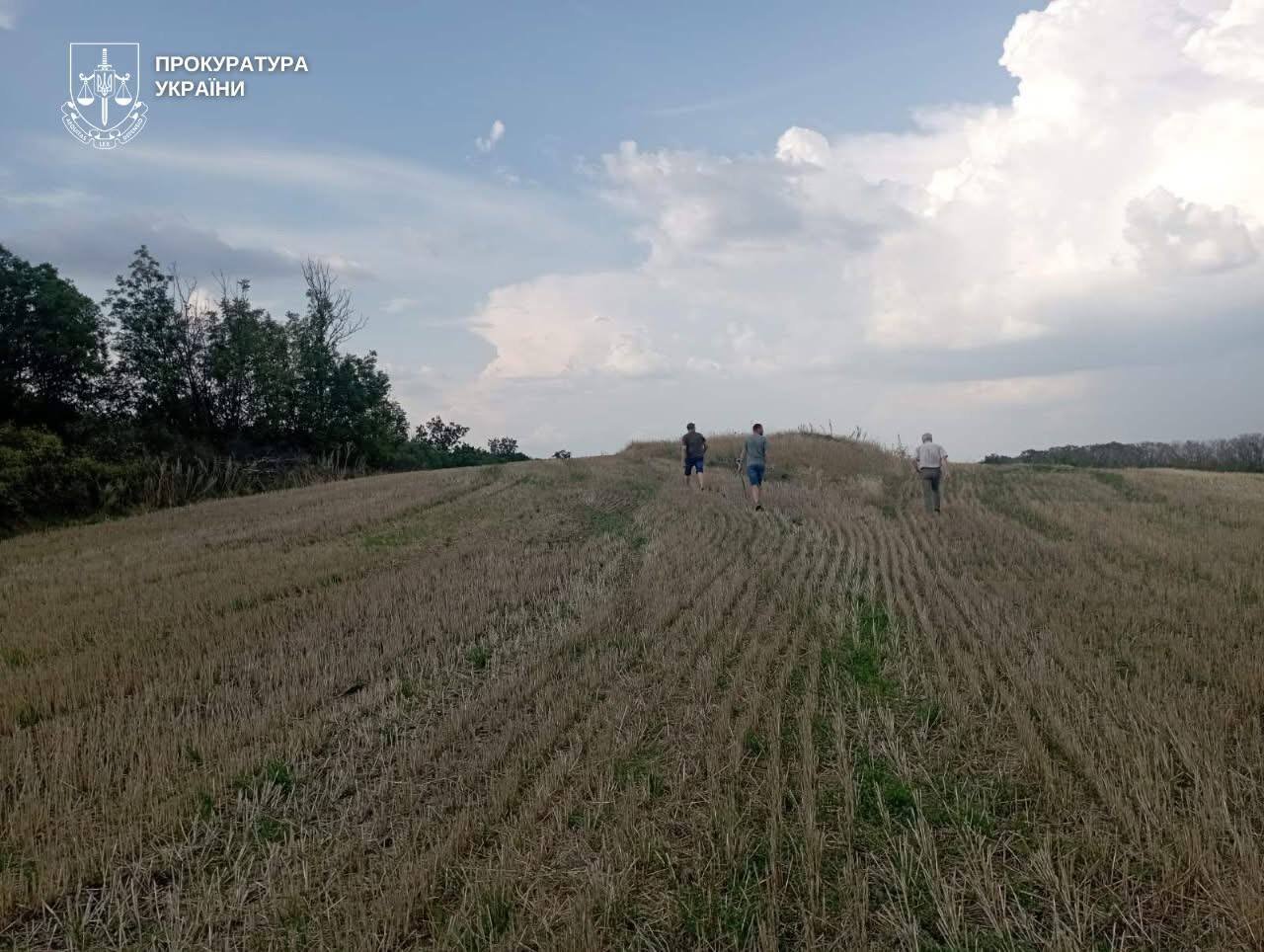 Кургани під плугом