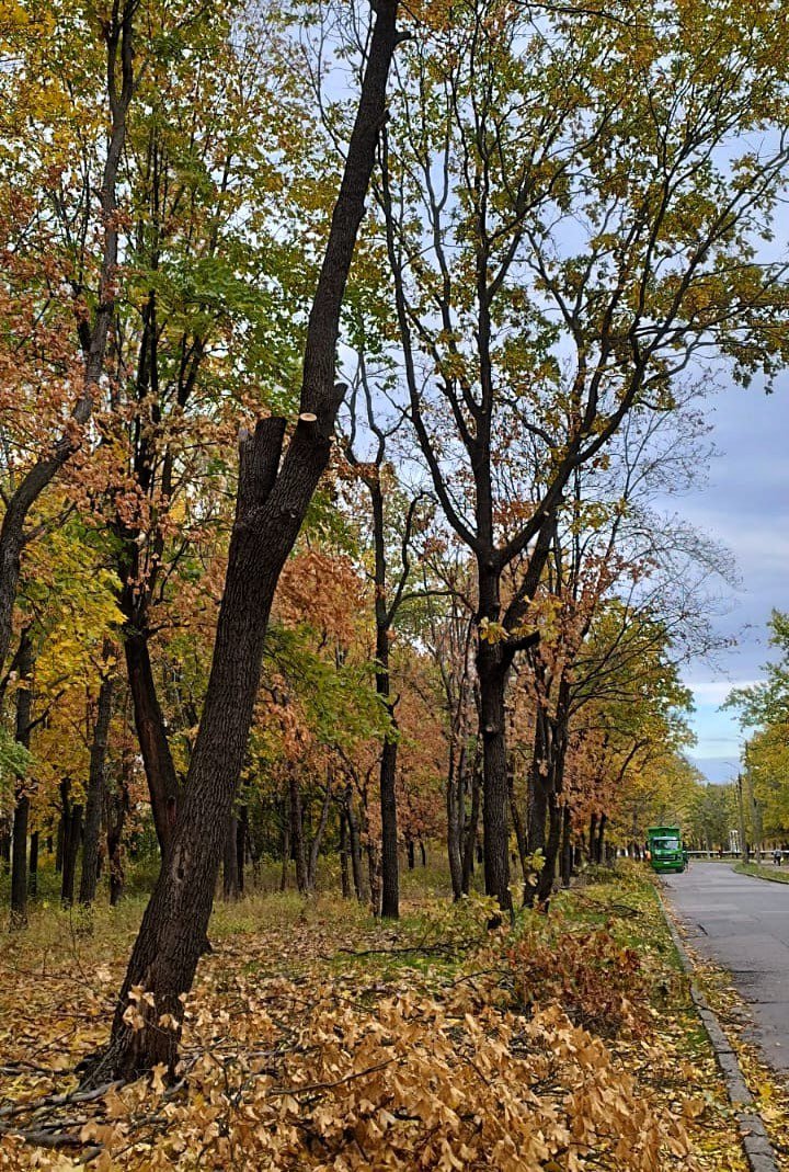 Фото - ДЭИ