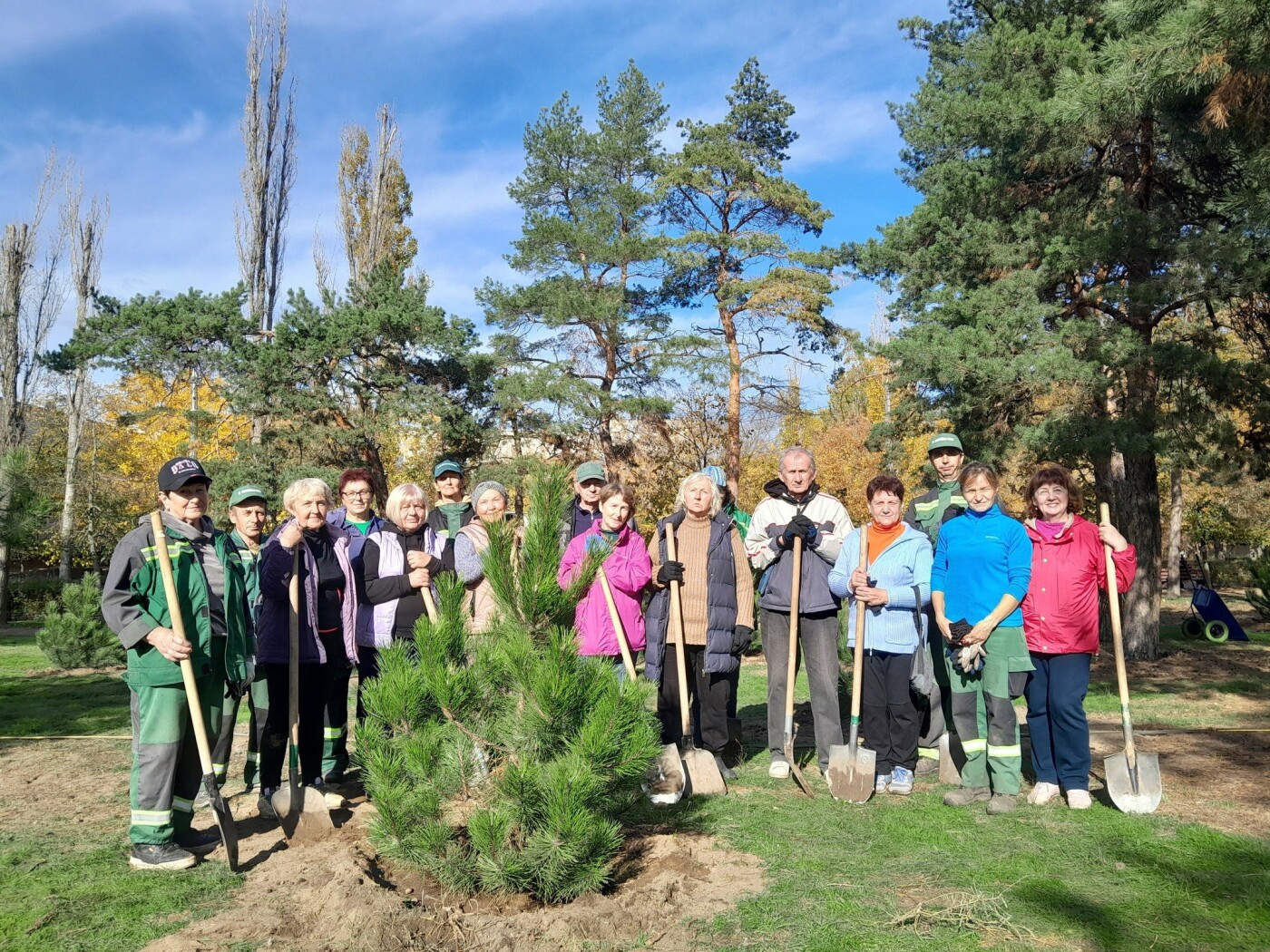 Высадка деревьев в Николаеве.