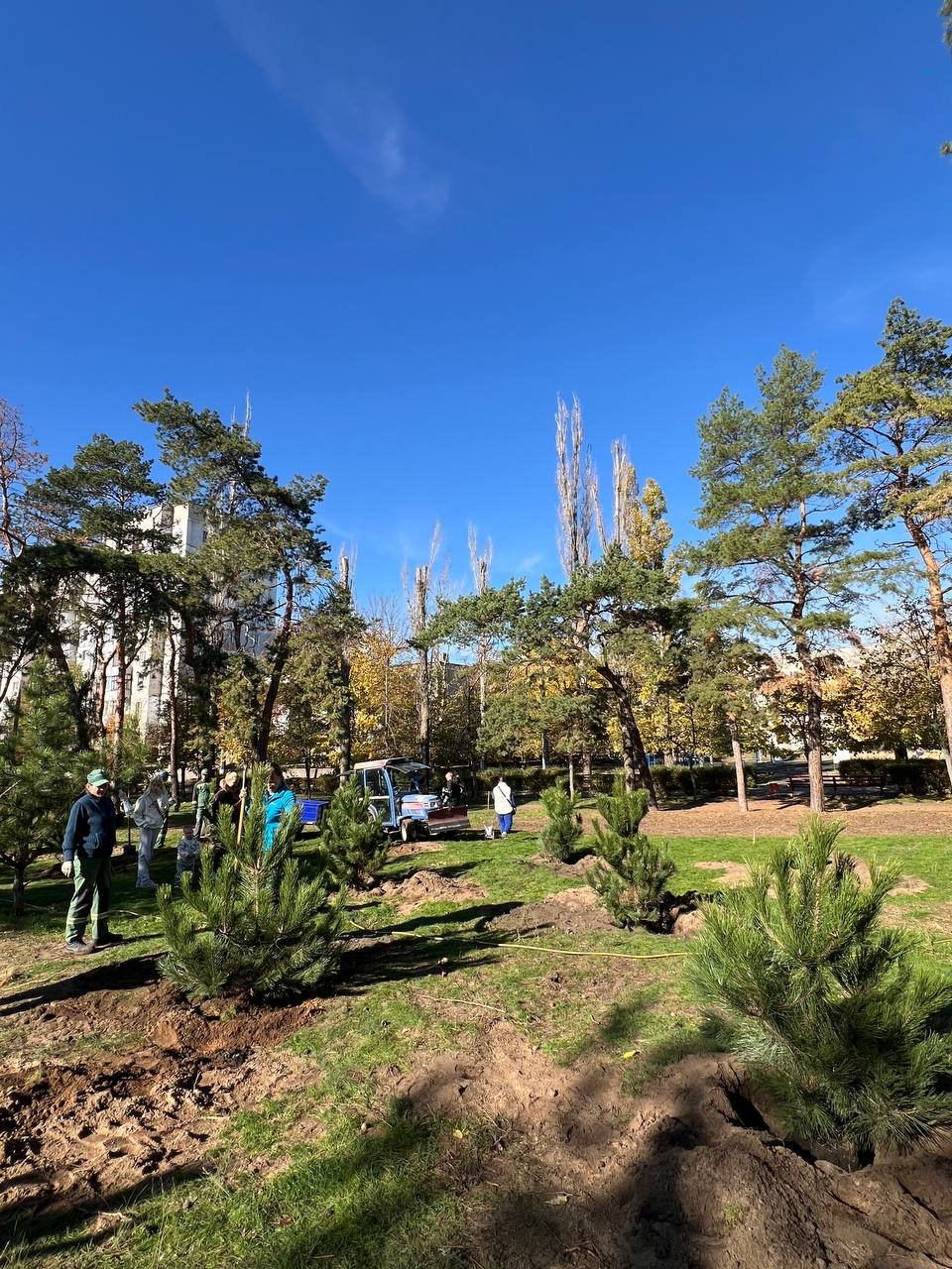 Высадка деревьев в Николаеве.