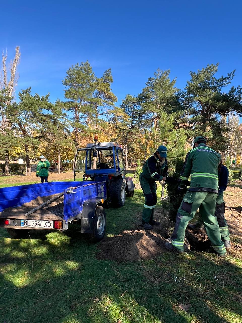 Высадка деревьев в Николаеве.