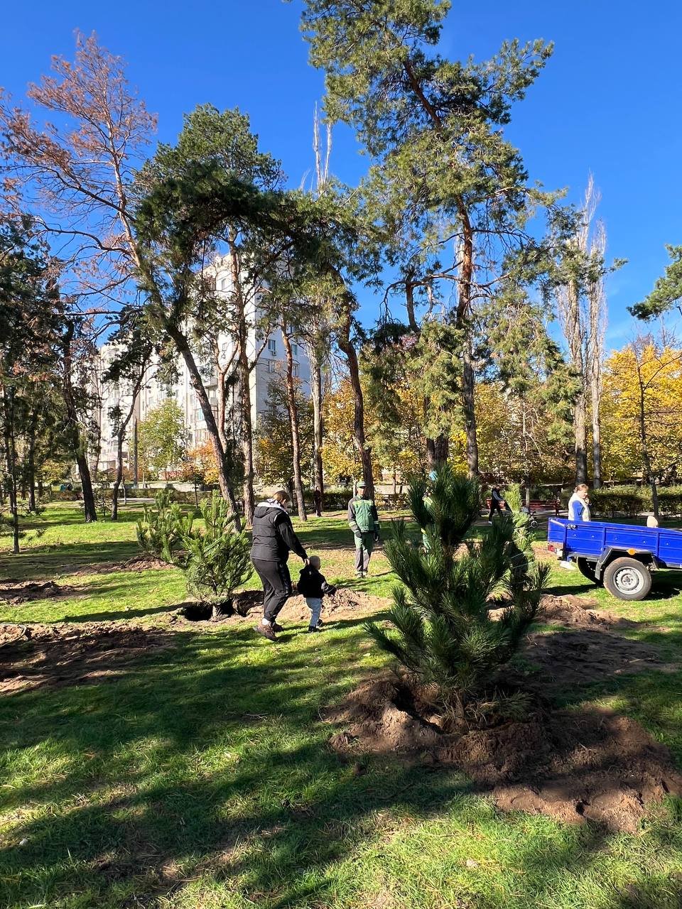 Высадка деревьев в Николаеве.