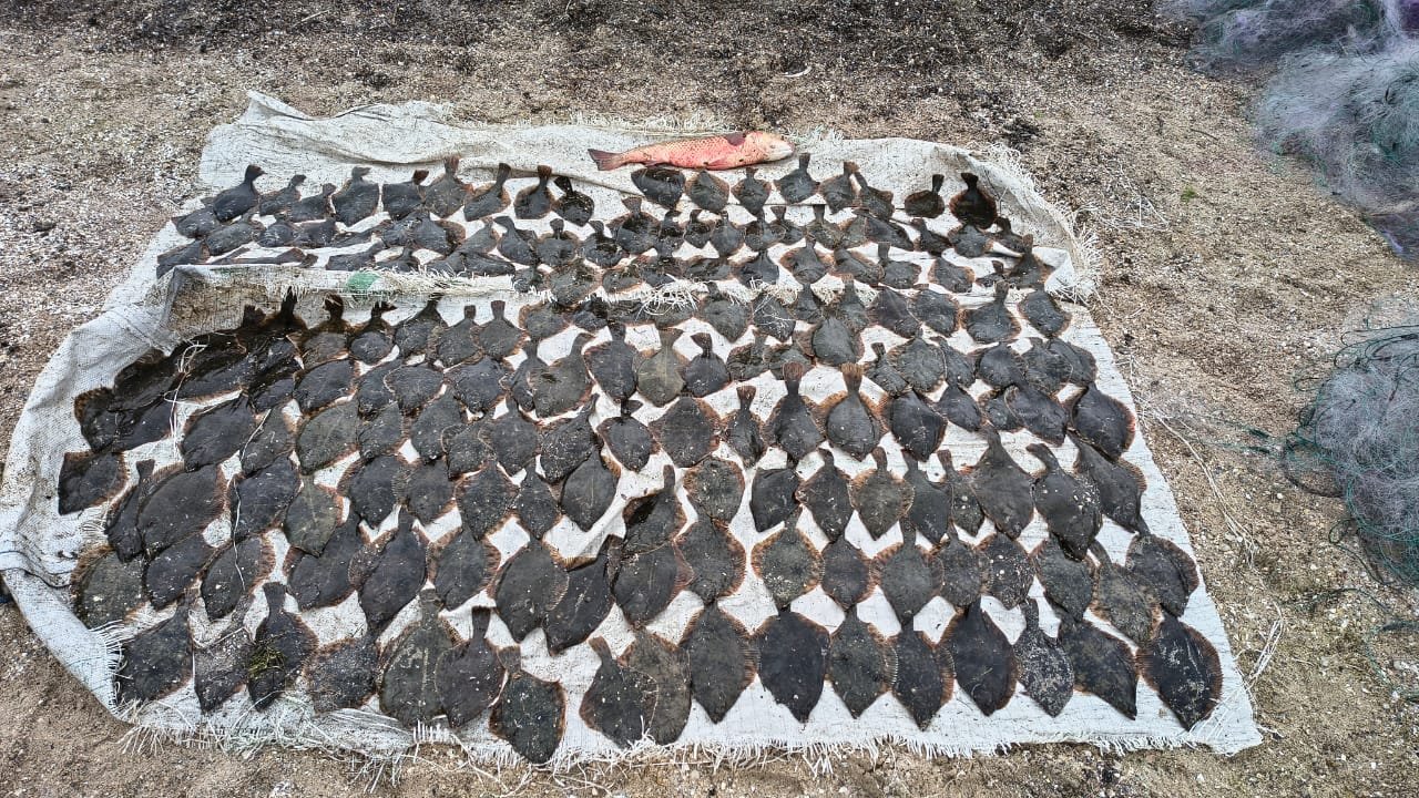 Фото - Николаевский рыбоохранный патруль