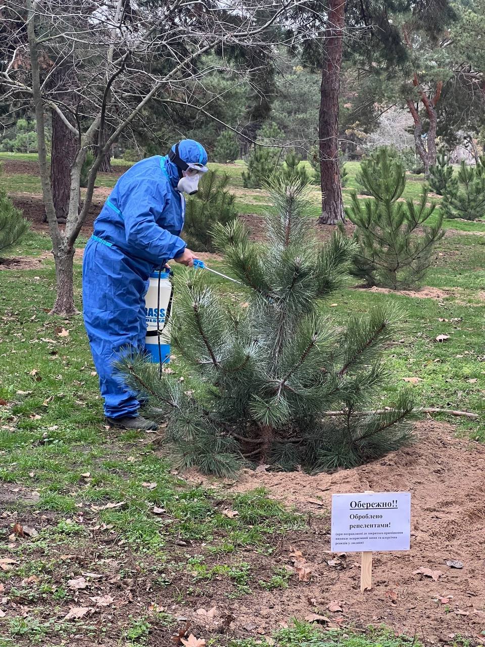 В Николаеве защищают деревья