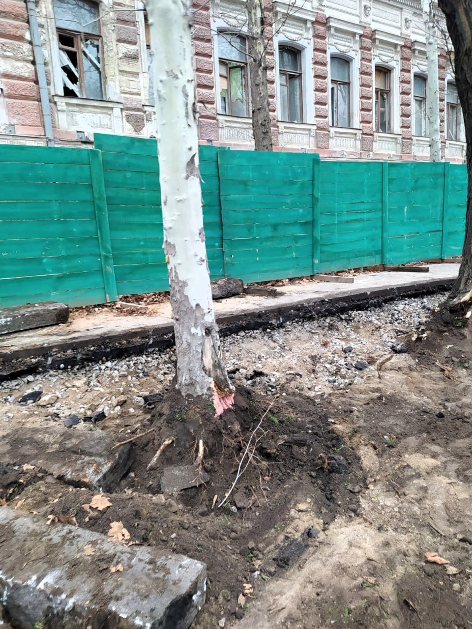 Поврежденные деревья в Николаеве