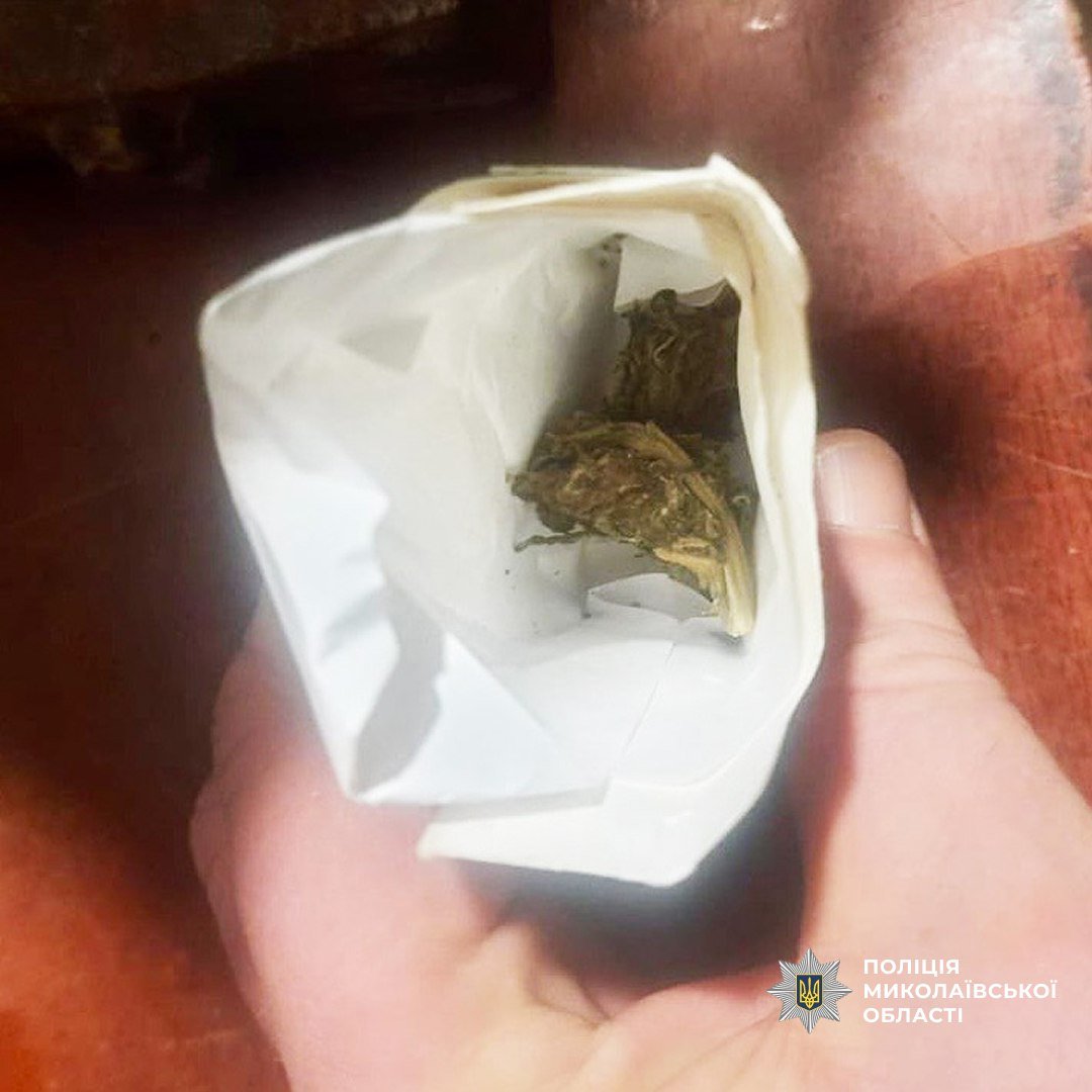 В Николаевской области задержали группу людей