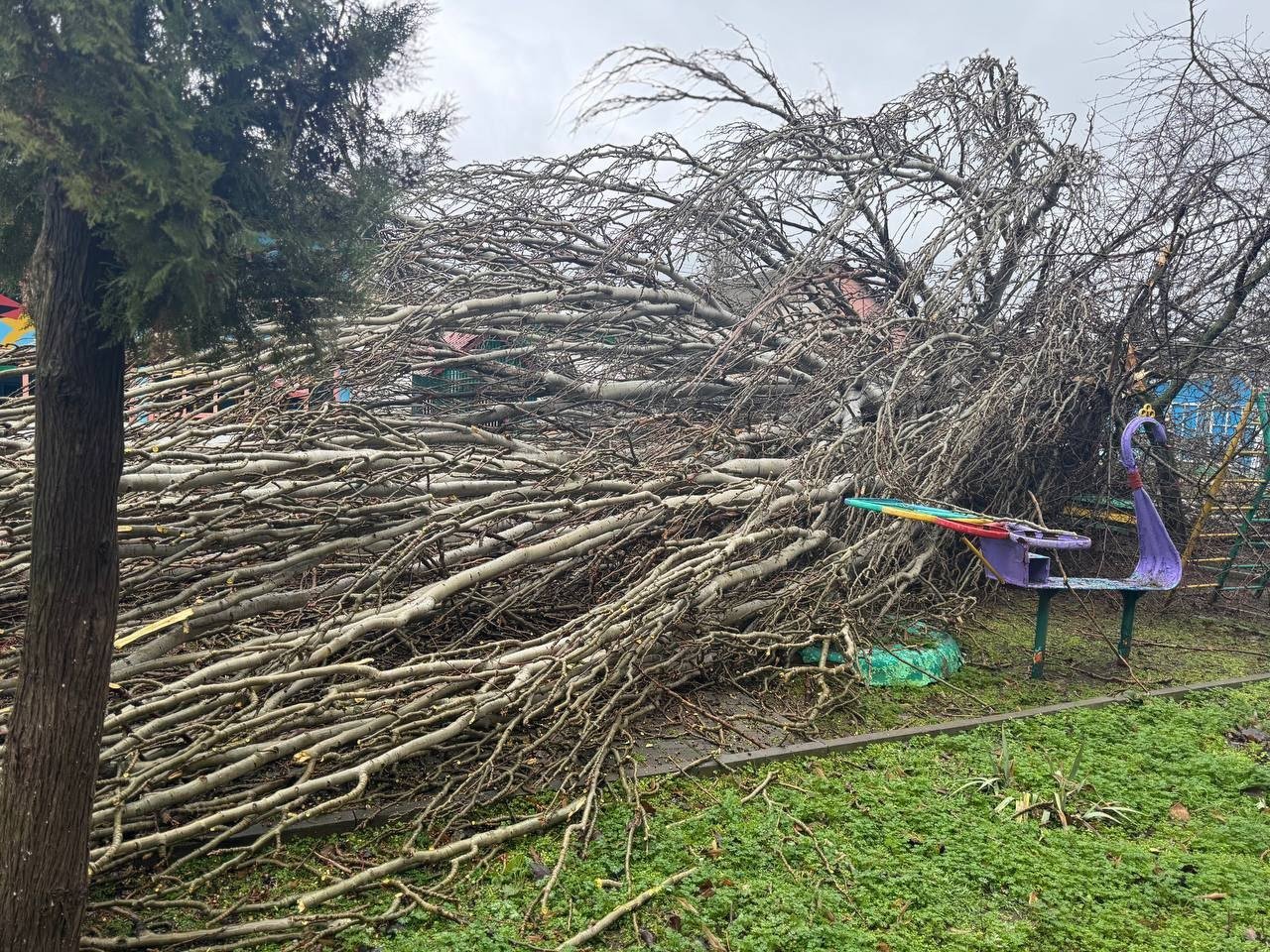 Источник: Николаевский городской совет