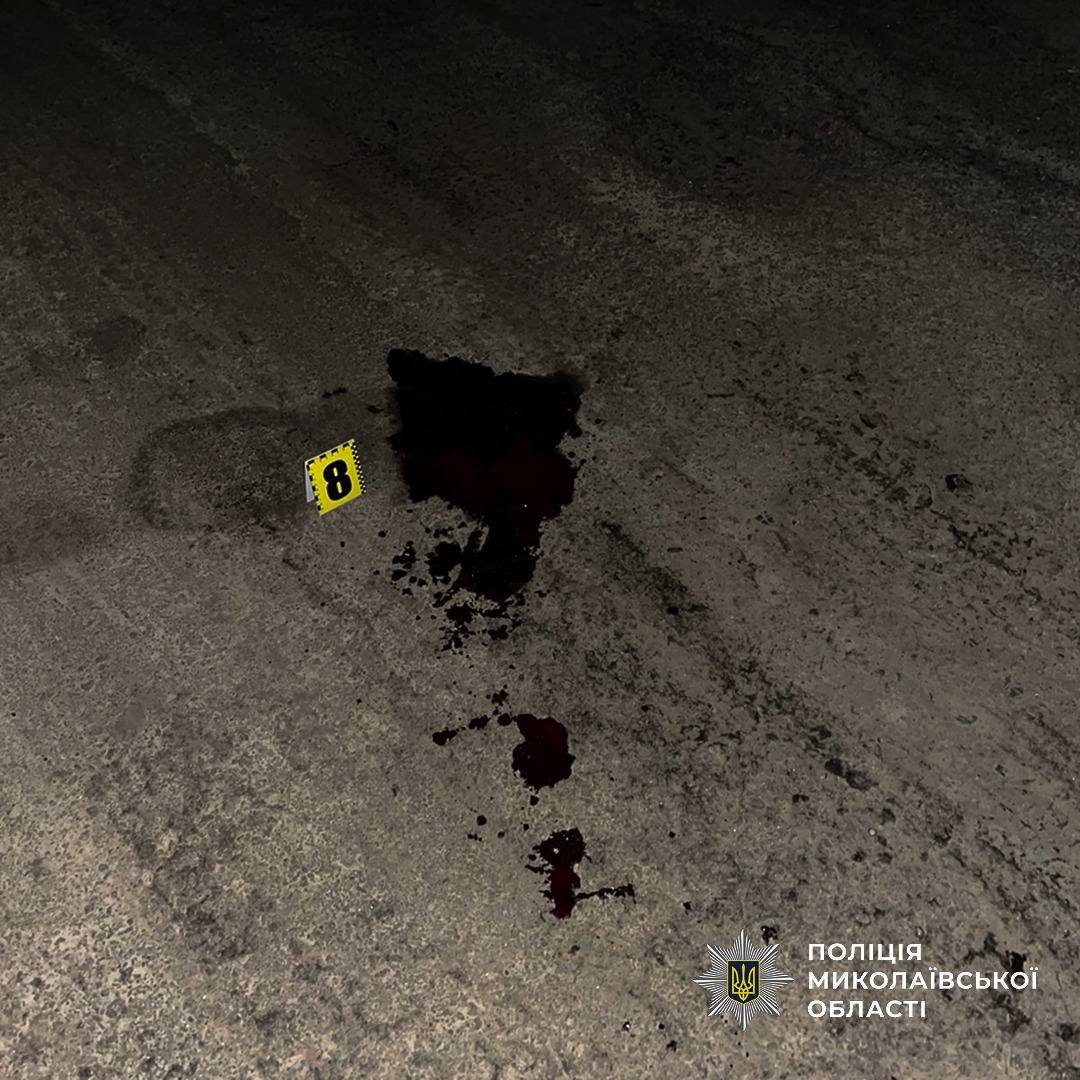 ДТП в Николаевской области