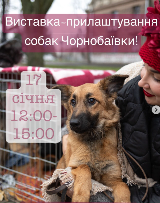 Выставка-прибор животных Николаев