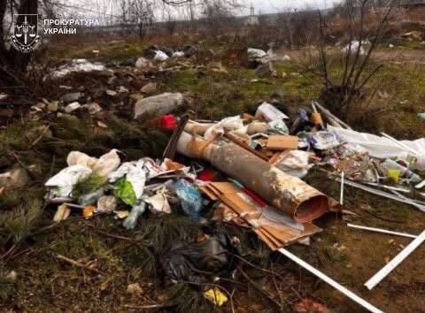 Мусорная свалка в Терновке