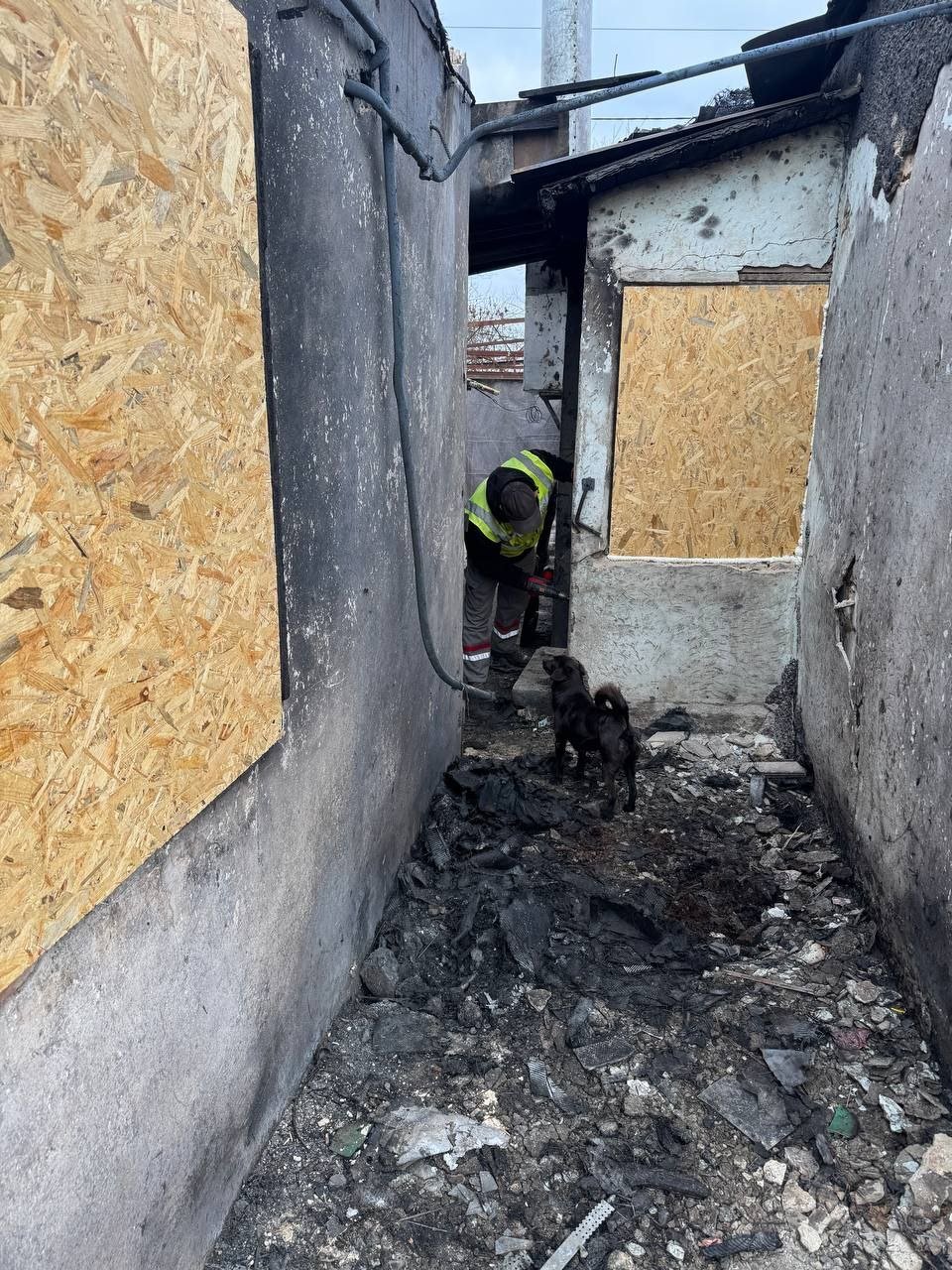 Фото - Александр Сенкевич